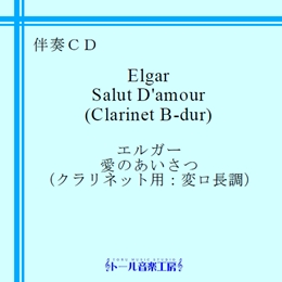 GK[@̂iσj@iڍ׃y[W