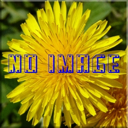 nCh@IgIulGv\vm(CDƔtCD̂QZbg)@iڍ׃y[W